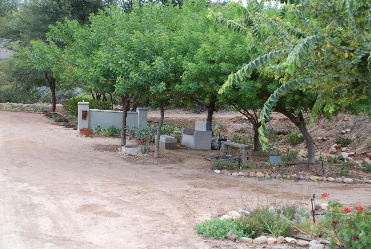 Affittacamere Gasteria Grange Calitzdorp Esterno foto