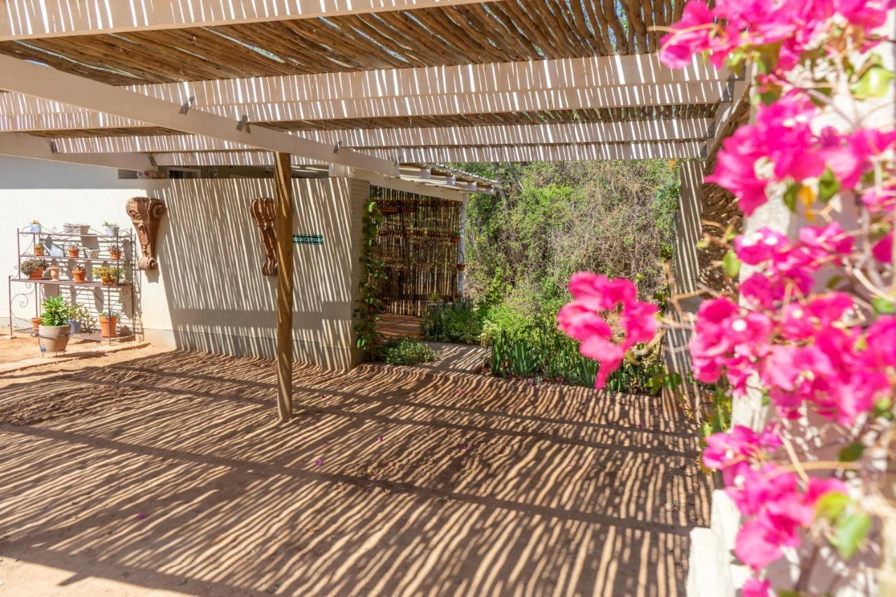 Affittacamere Gasteria Grange Calitzdorp Esterno foto