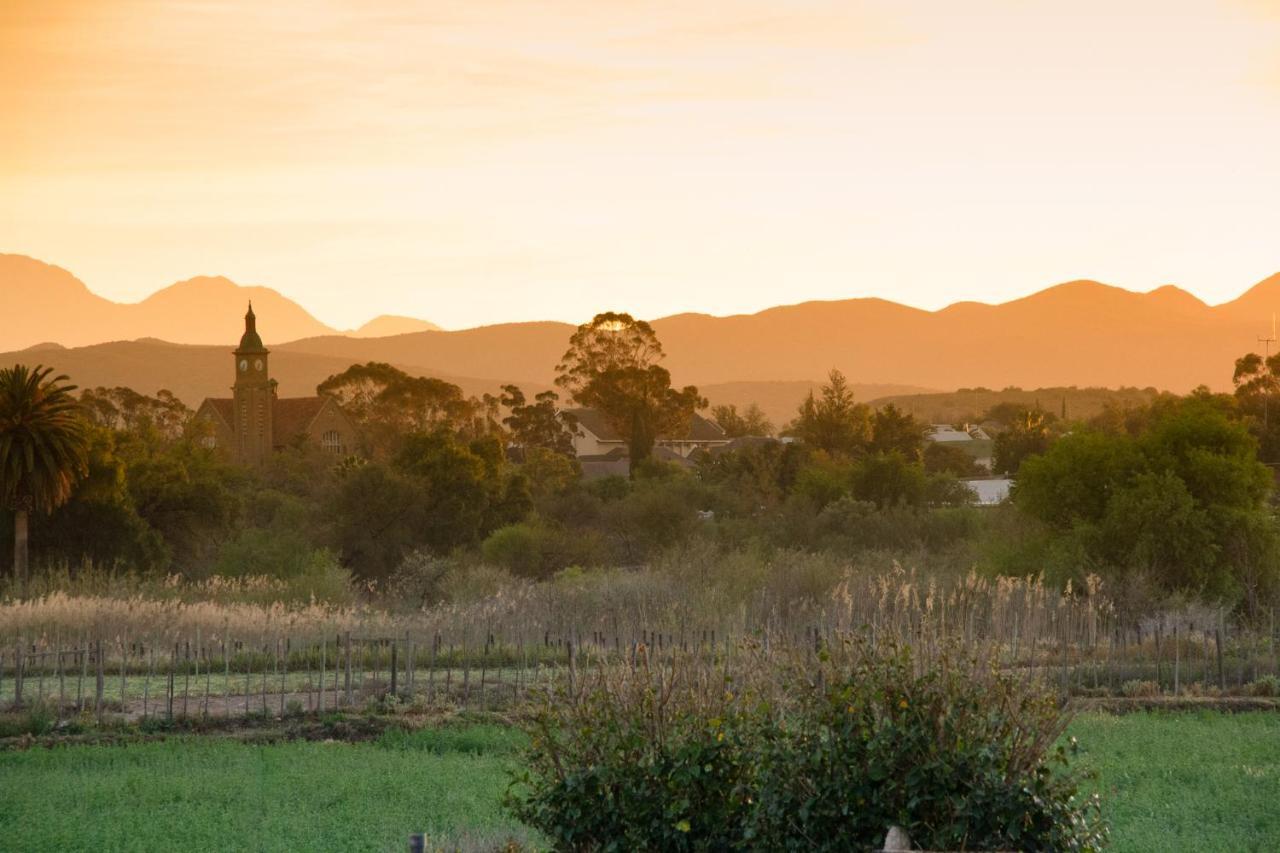Affittacamere Gasteria Grange Calitzdorp Esterno foto